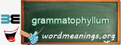 WordMeaning blackboard for grammatophyllum